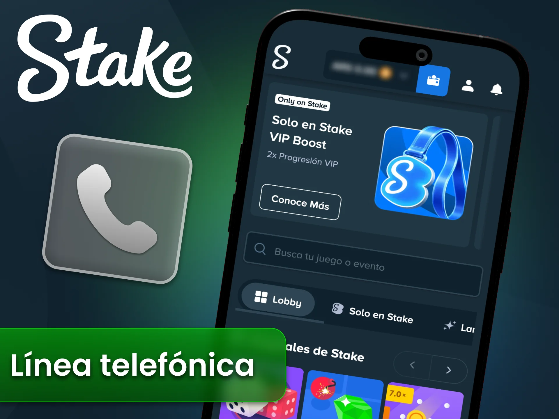 Llamá al soporte telefónico de Stake y hablá con un agente para recibir ayuda directa.