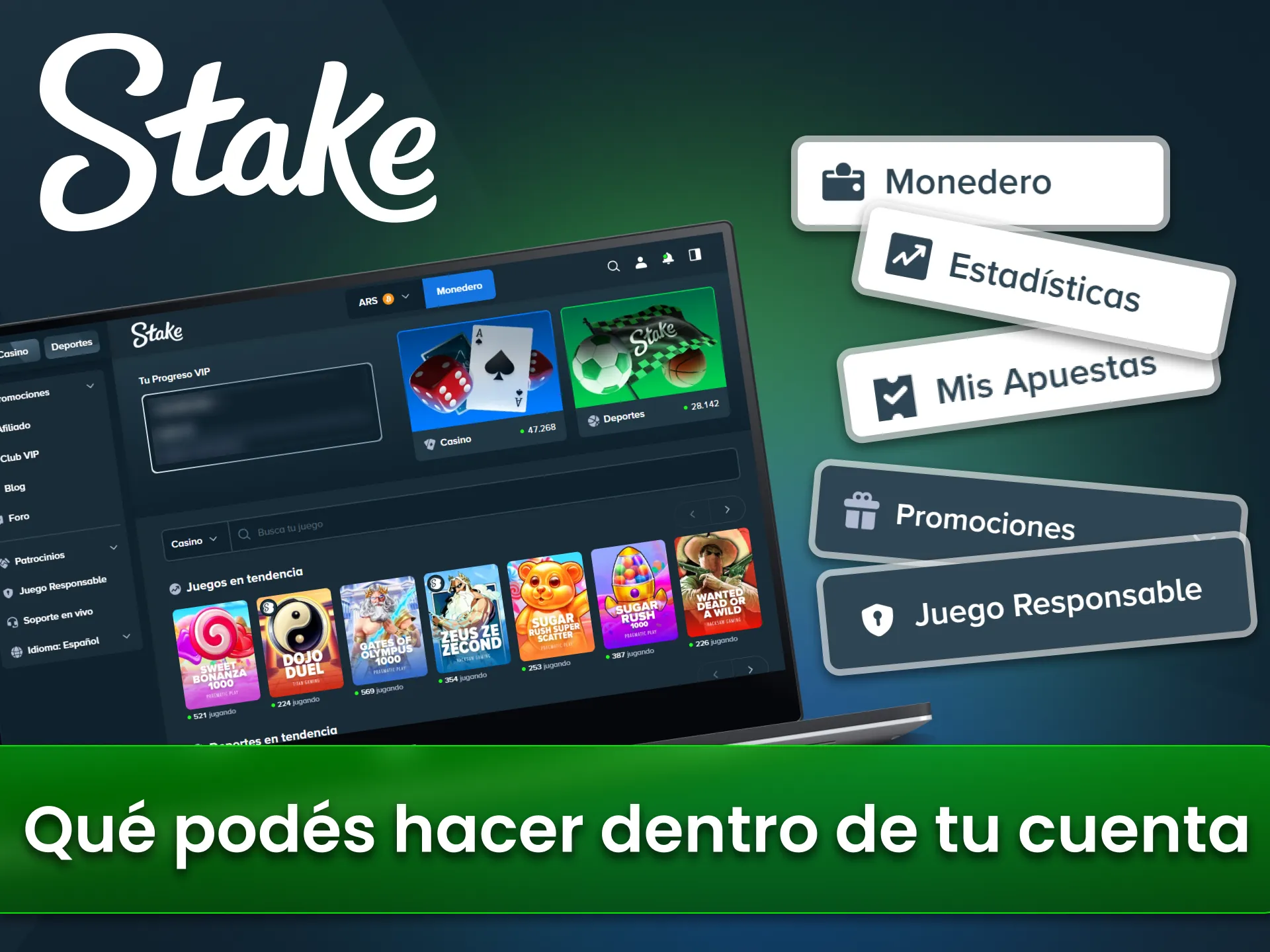 Gestiona tu perfil personal en el sitio oficial Stake Argentina.