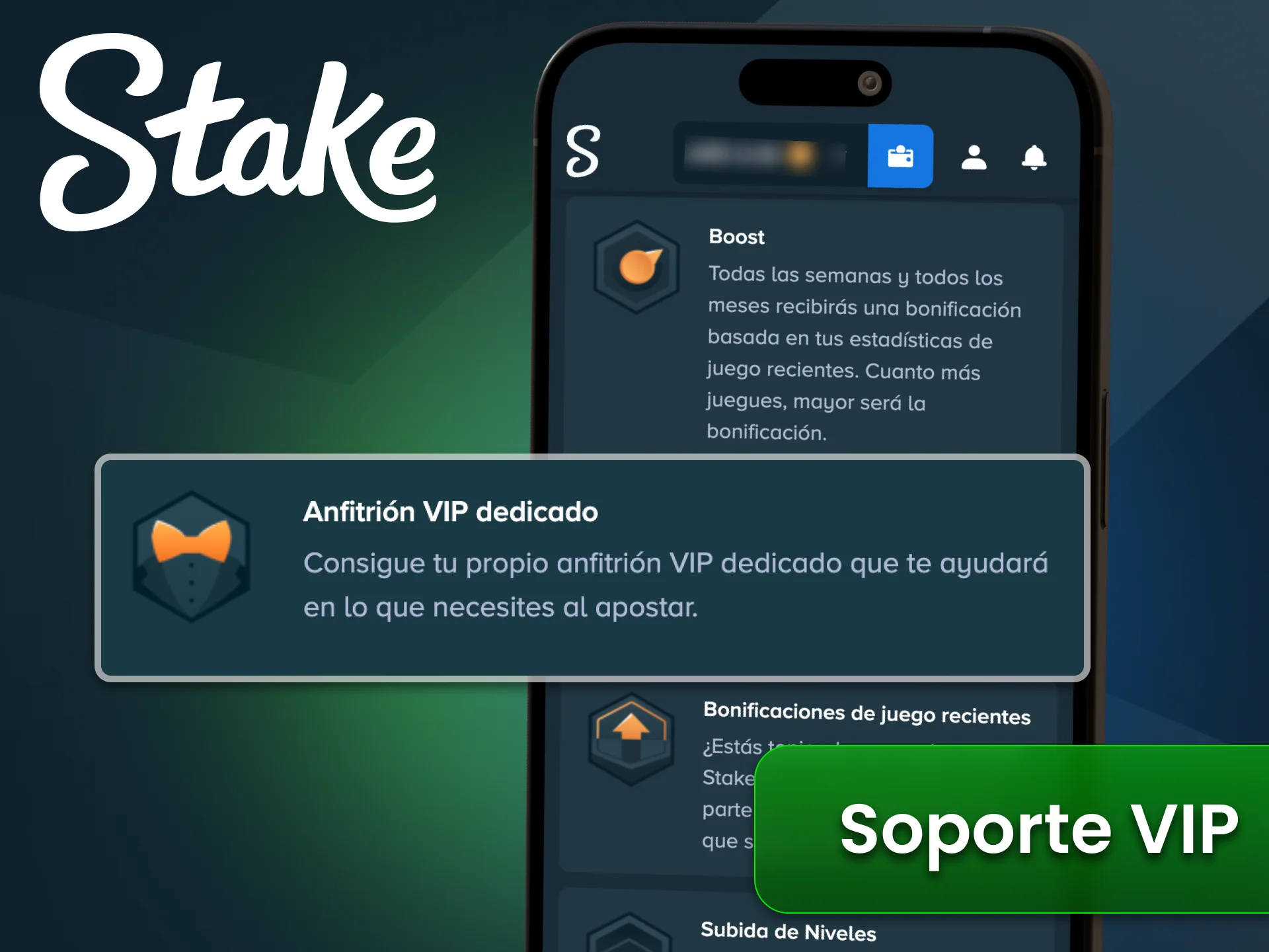 Accedé al soporte VIP de Stake y resolvé depósitos, retiros y ajustes de cuenta con atención prioritaria.